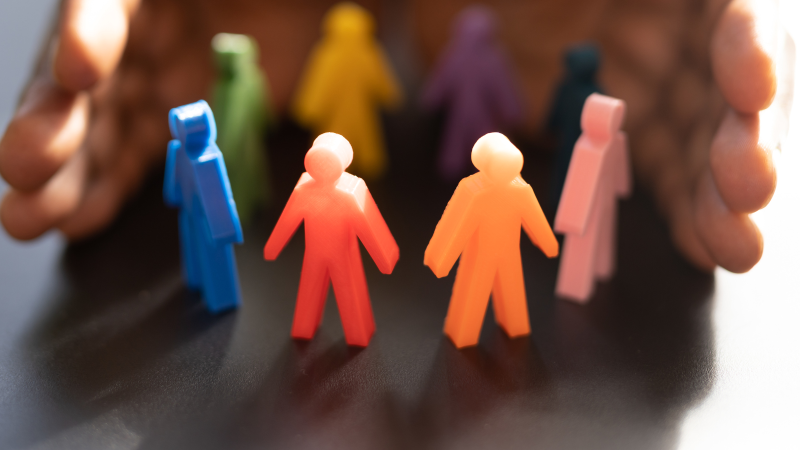 Employment Law