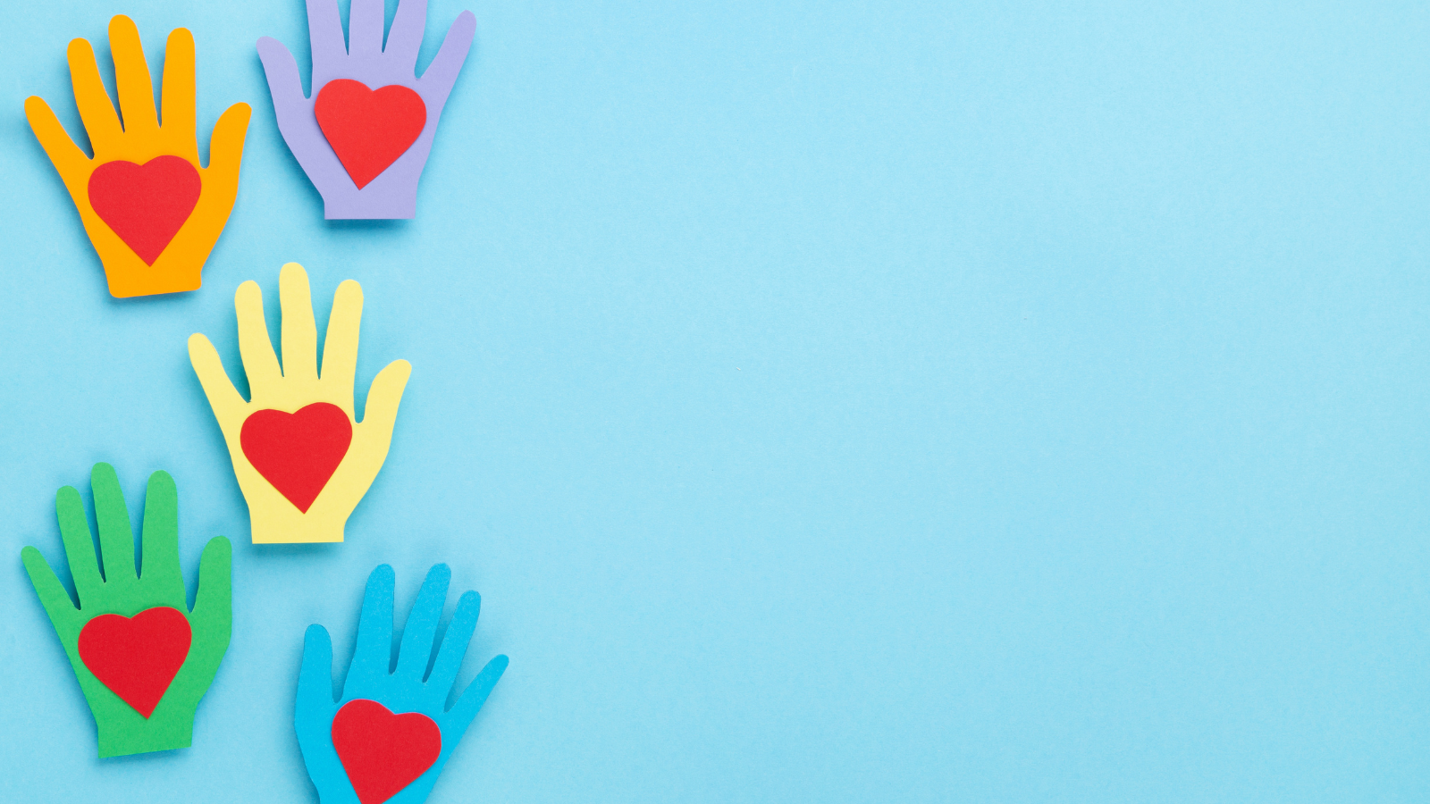 New Dawn Organisation